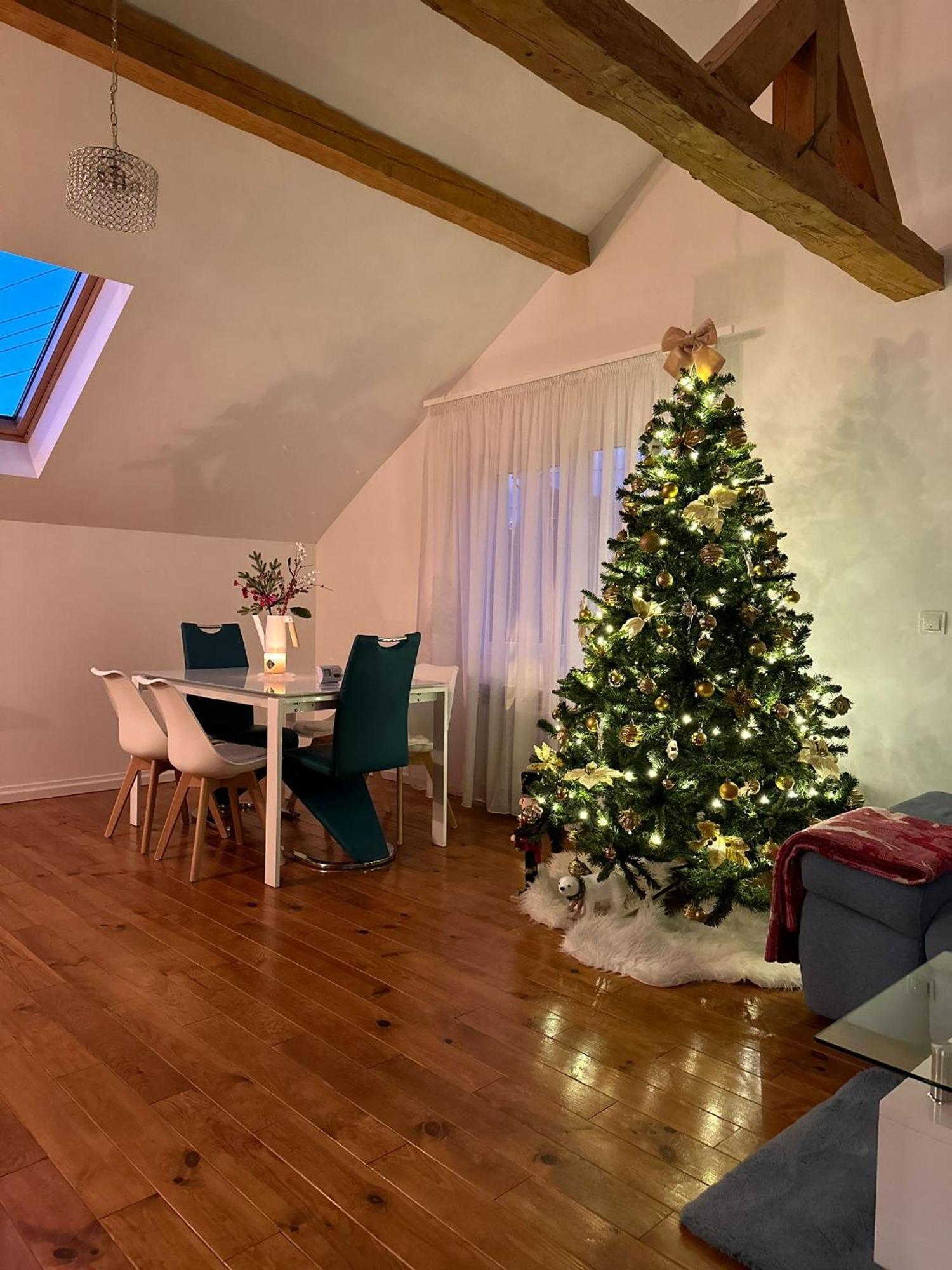 Attic 33 Lejlighed Câmpulung Moldovenesc Eksteriør billede